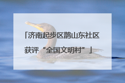 济南起步区鹊山东社区获评“全国文明村”