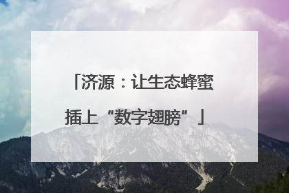 济源：让生态蜂蜜插上“数字翅膀”