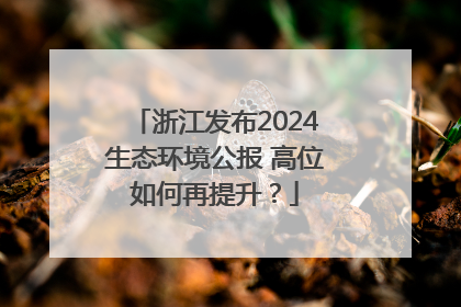 浙江发布2024生态环境公报 高位如何再提升？
