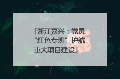 浙江嘉兴：党员“红色专班”护航重大项目建设