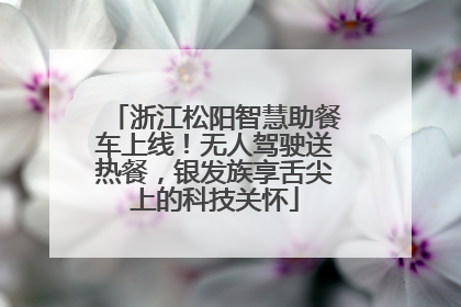 浙江松阳智慧助餐车上线！无人驾驶送热餐，银发族享舌尖上的科技关怀