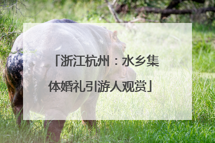 浙江杭州：水乡集体婚礼引游人观赏