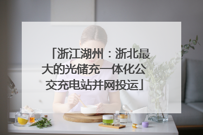 浙江湖州：浙北最大的光储充一体化公交充电站并网投运