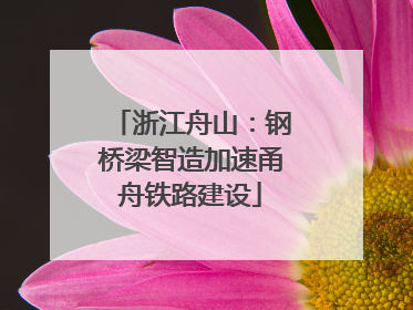 浙江舟山：钢桥梁智造加速甬舟铁路建设