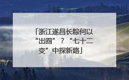浙江遂昌长粽何以“出圈”？“七十二变”中探新路
