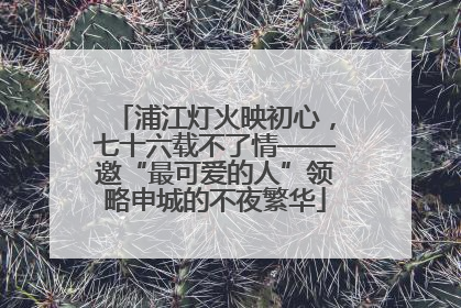 浦江灯火映初心，七十六载不了情——邀“最可爱的人”领略申城的不夜繁华