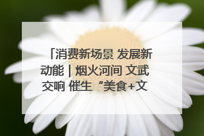 消费新场景 发展新动能｜烟火河间 文武交响 催生“美食+文化”消费新场景