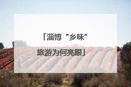 淄博“乡味”旅游为何亮眼