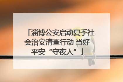 淄博公安启动夏季社会治安清查行动 当好平安“守夜人”