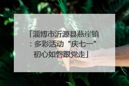 淄博市沂源县燕崖镇：多彩活动“庆七一” 初心如磐跟党走
