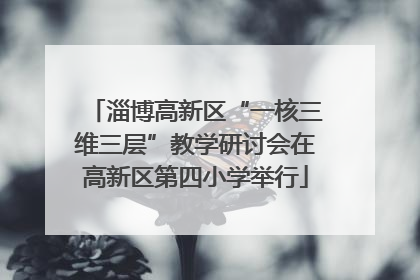 淄博高新区“一核三维三层”教学研讨会在高新区第四小学举行