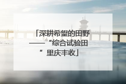 深耕希望的田野——“综合试验田”里庆丰收