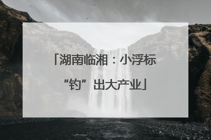 湖南临湘：小浮标“钓”出大产业