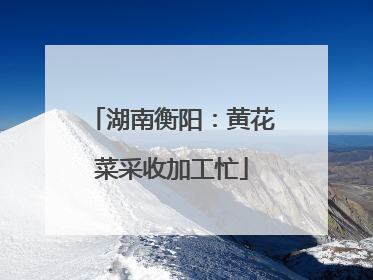 湖南衡阳：黄花菜采收加工忙