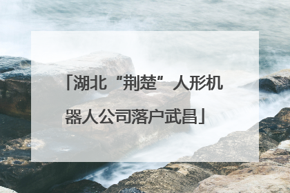 湖北“荆楚”人形机器人公司落户武昌