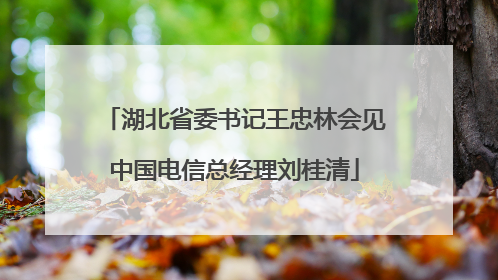 湖北省委书记王忠林会见中国电信总经理刘桂清