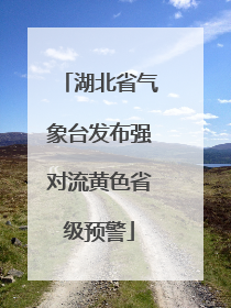 湖北省气象台发布强对流黄色省级预警