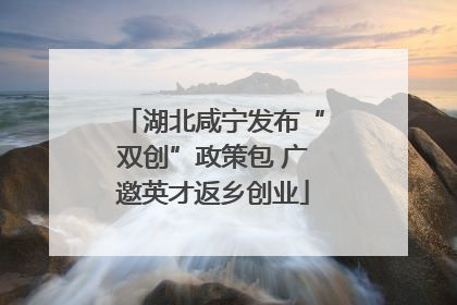 湖北咸宁发布“双创”政策包 广邀英才返乡创业