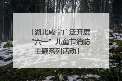 湖北咸宁广泛开展“六一”儿童节消防主题系列活动