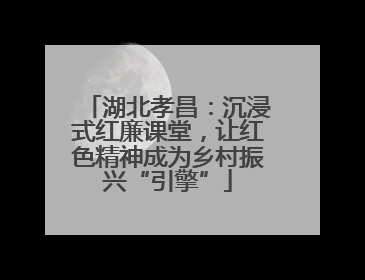 湖北孝昌：沉浸式红廉课堂，让红色精神成为乡村振兴“引擎”
