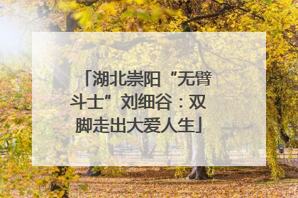 湖北崇阳“无臂斗士”刘细谷：双脚走出大爱人生