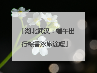 湖北武汉：端午出行粽香浓旅途暖