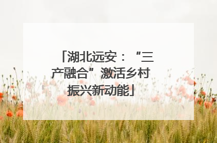 湖北远安：“三产融合”激活乡村振兴新动能