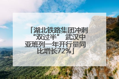 湖北铁路集团冲刺“双过半” 武汉中亚班列一年开行量同比增长72%