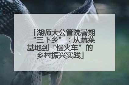 湖师大公管院暑期“三下乡”：从蔬菜基地到“慢火车”的乡村振兴实践