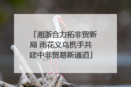 湘浙合力拓非贸新局 雨花义乌携手共建中非贸易新通道