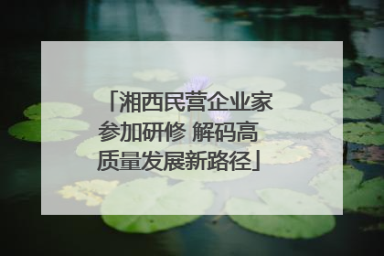 湘西民营企业家参加研修 解码高质量发展新路径