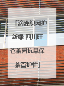 滴灌织网护新绿 四川旺苍茶园抗旱保茶管护忙