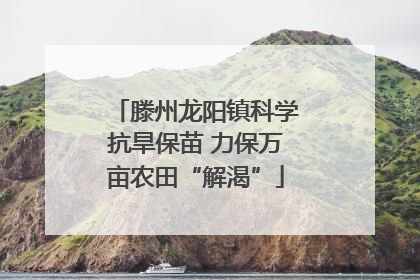 滕州龙阳镇科学抗旱保苗 力保万亩农田“解渴”