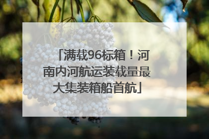 满载96标箱！河南内河航运装载量最大集装箱船首航