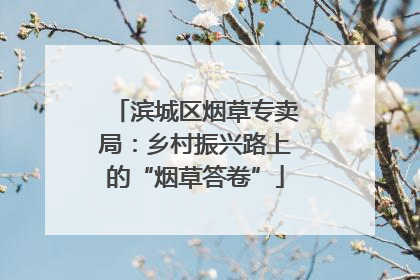 滨城区烟草专卖局：乡村振兴路上的“烟草答卷”