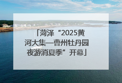 菏泽“2025黄河大集—曹州牡丹园夜游消夏季”开幕