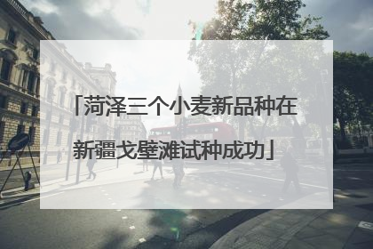 菏泽三个小麦新品种在新疆戈壁滩试种成功