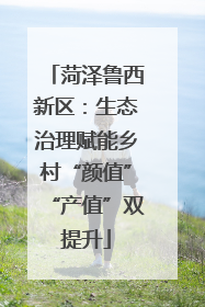 菏泽鲁西新区：生态治理赋能乡村“颜值”“产值”双提升