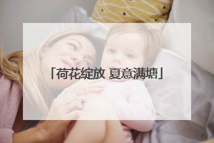 荷花绽放 夏意满塘