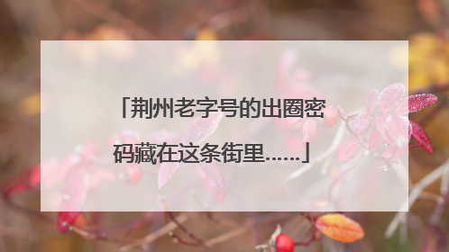 荆州老字号的出圈密码藏在这条街里……
