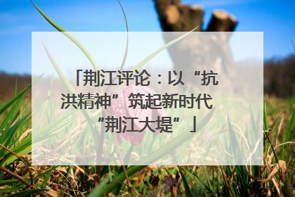 荆江评论：以“抗洪精神”筑起新时代“荆江大堤”