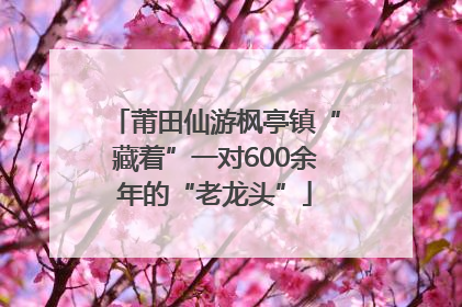 莆田仙游枫亭镇“藏着”一对600余年的“老龙头”