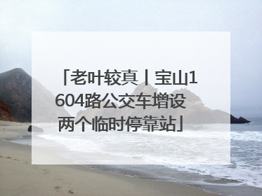 老叶较真丨宝山1604路公交车增设两个临时停靠站