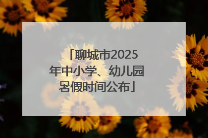 聊城市2025年中小学、幼儿园暑假时间公布