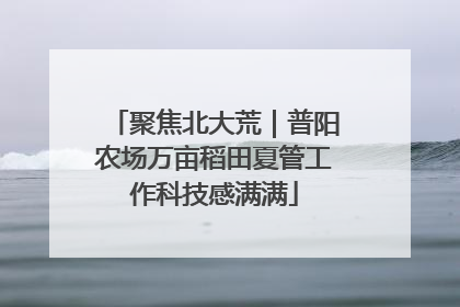 聚焦北大荒｜普阳农场万亩稻田夏管工作科技感满满
