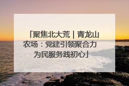 聚焦北大荒｜青龙山农场：党建引领聚合力 为民服务践初心