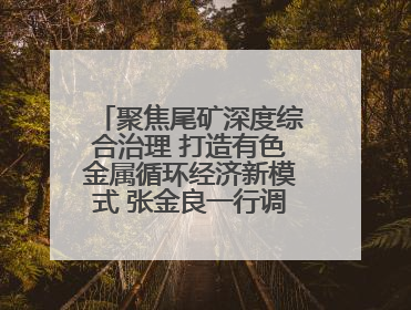 聚焦尾矿深度综合治理 打造有色金属循环经济新模式 张金良一行调研栾川县尾矿库综合治理工作
