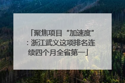 聚焦项目“加速度”：浙江武义这项排名连续四个月全省第一