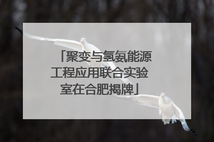聚变与氢氨能源工程应用联合实验室在合肥揭牌