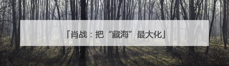 肖战：把“藏海”最大化